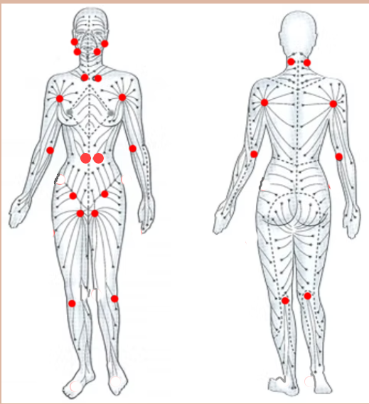 schema des points lymphatiques drainage par effleurements